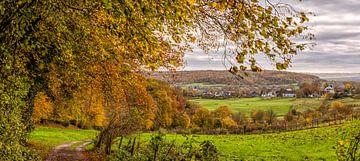 Couleurs d'automne à Schweiberg, dans le sud du Limbourg
