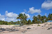 Easter Island beach