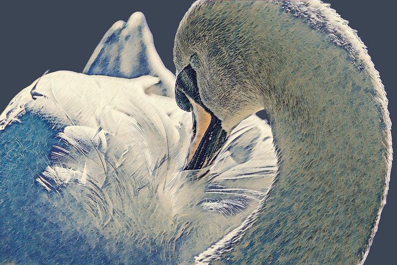 Blue swan by Monique de Wit