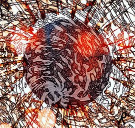 Shards bring happiness by D Driessen