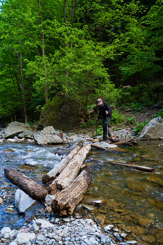 The Log-Crossing Trek