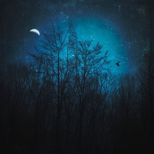 Dark blue night scene with trees and half moon