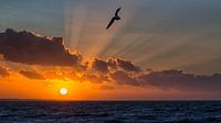 Noordzee zonsondergang van Bram van Broekhoven thumbnail
