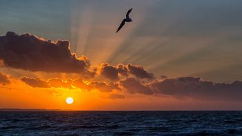 Sonnenuntergang an der Nordsee