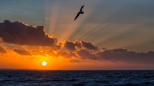 Noordzee zonsondergang