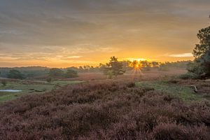 Brunssummerheide lever du soleil