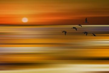 Abendrot am Meer von Truus Nijland