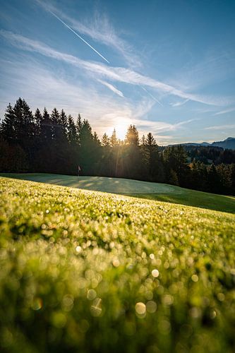 Eerste zonnestralen in de herfst op de golfbaan met dauw