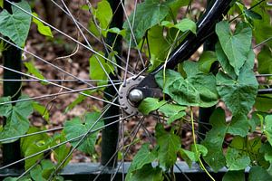 Fiets sur Ronald Wilfred Jansen