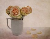 Rosen für Großmutter von Claudia Moeckel Miniaturansicht
