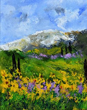 Provene 455150 sur pol ledent