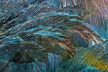 Colourful Ice Feathers by Nanda Bussers