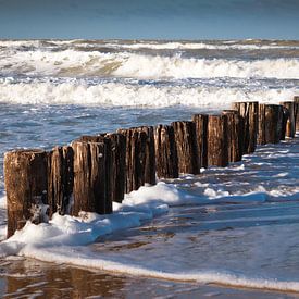 Discover the Magic of Weathered Beach Poles in Cadzand, Netherlands by DroomGans