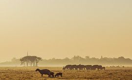 The farmer and his cows by Dirk van Egmond