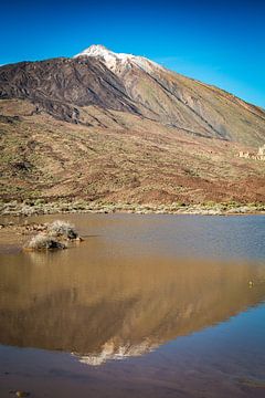 Le volcan Teide dans le miroir