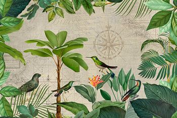 Voyage nostalgique des oiseaux