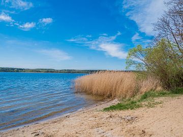 Lake at the Mecklenburg Lake District by Animaflora PicsStock