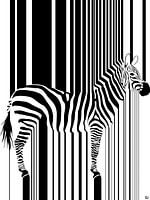 Zebra-Streifen