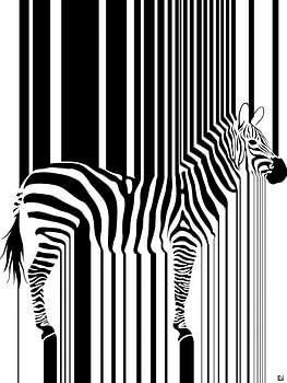 Zebra strepen illusie