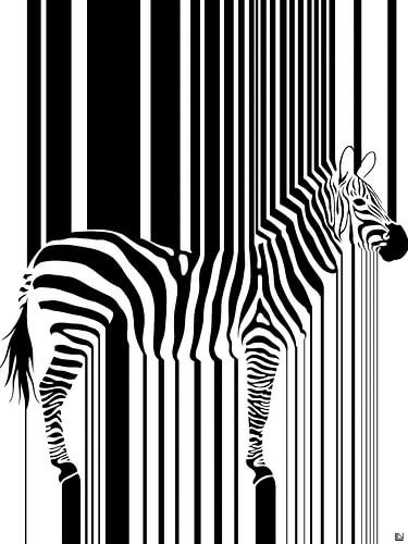 Zebra stripes illusion