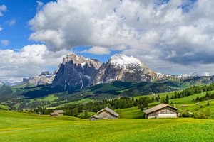 Seiser Alm-Panorama in den Dolomiten im Frühling
