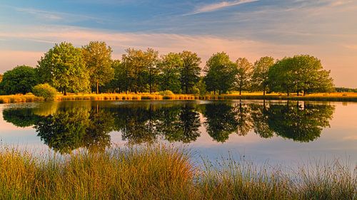 Zonsondergang Dwingelderveld