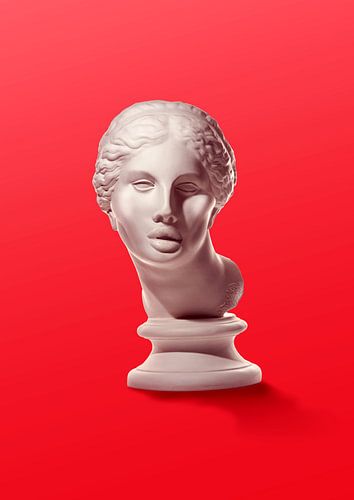 Natuurlijke Klassieke Schoonheid