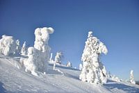 Lapland
