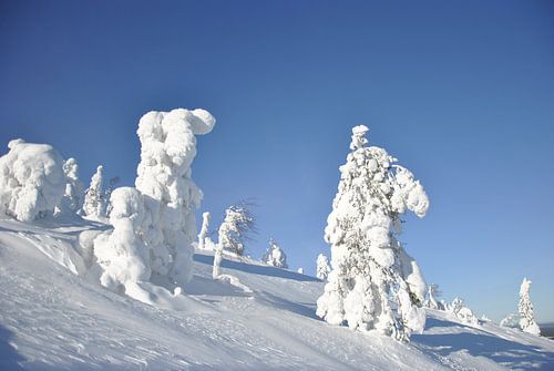 Lapland