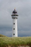 De vuurtoren van Egmond op een zomerse middag II