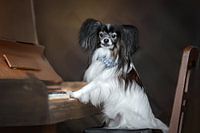 De pianist