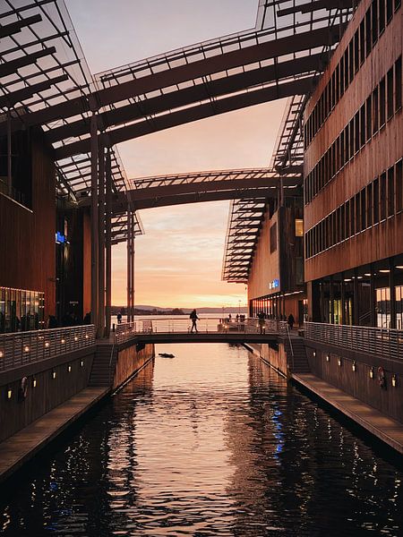 Oslo by Hello Pompoyo