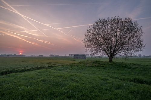 Weiland met boom en schuur bij zonsopkomst 05