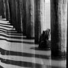 contrastrijke zwart wit foto met schaduw en strandpalen van Karijn | Fine art Natuur en Reis Fotografie