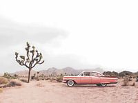 In de woestijn klassieke auto