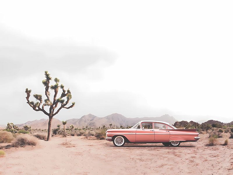 In der Wüste Oldtimer von Artwork Shop