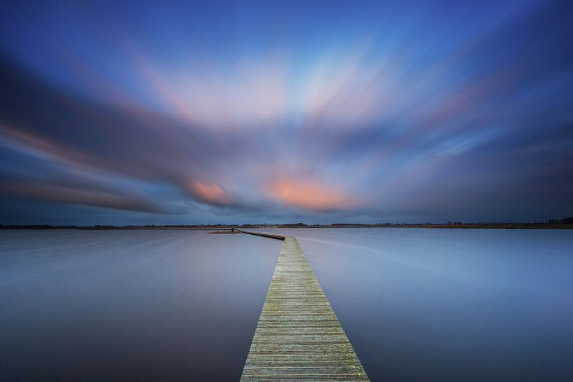 Bat trail Roegwold by Jurjen Veerman