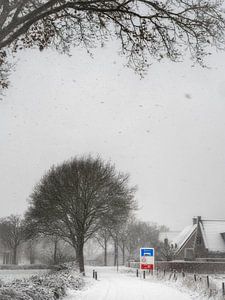 Biere im Schnee