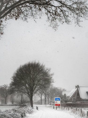 Bières dans la neige sur Lex Schulte