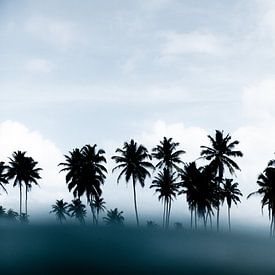 YOU COME FROM NO COCONUT TREE van STUDIO MELCHIOR
