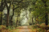 Change of Seasons
