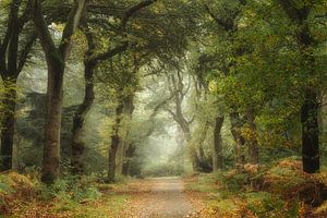 Change of Seasons