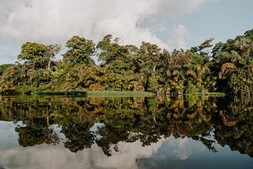 Reisfotografie “Reflectie” | Costa Rica | Midden Amerika | Tortugero | Groen | Water | Fotografie | Foto Print | Art Print van Estelle Bijker Fotografie