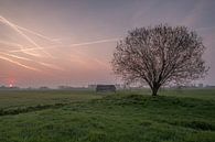 Weiland met boom en schuur bij zonsopkomst 04 von Moetwil en van Dijk - Fotografie Miniaturansicht