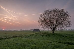 Weiland met boom en schuur bij zonsopkomst 04
