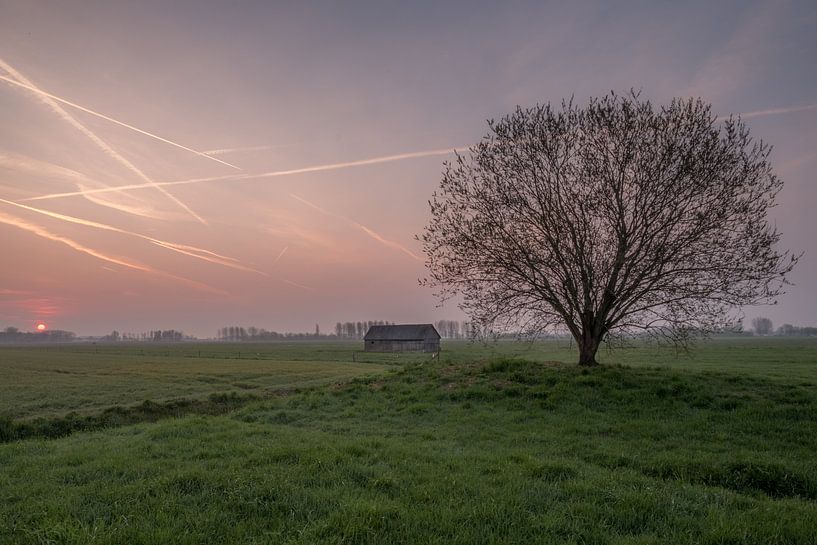 Weiland met boom en schuur bij zonsopkomst 04 von Moetwil en van Dijk - Fotografie