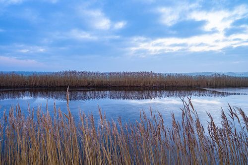 Un samedi matin froid à Heerenveen