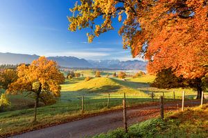 Herbst über Murnauer Moos mit Blick auf Zugspitze