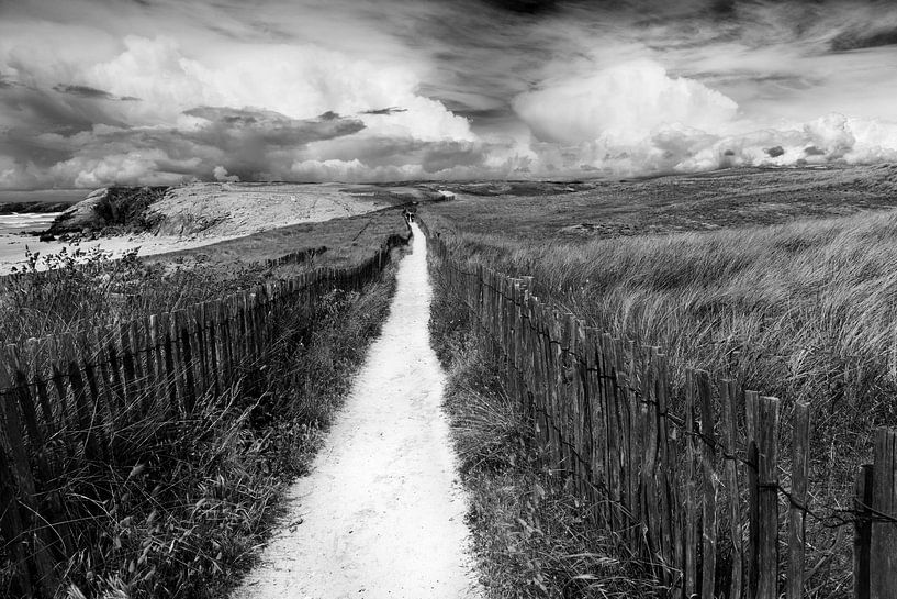 Côte Sauvage #8 van Willy Lippens