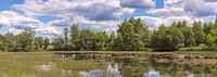 Nationalpark Hoge Veluwe Niederlande